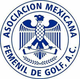 LogoAMG.jpg